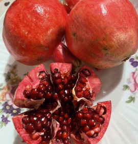 Punica granatum `Qizil Anor`