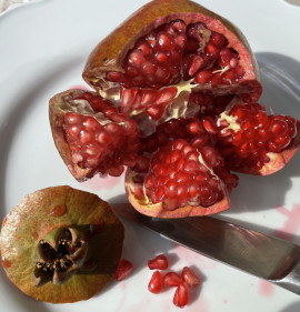 Punica granatum `Salavatski`