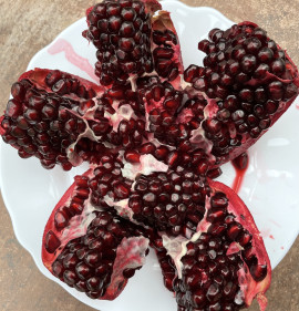 Punica granatum `Quirin Guloysha (Qirin Gulyosha)`