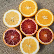 Citrus sinensis 'Vérnarancs'
