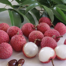 Litchi chinensis `Wai Chee`