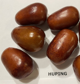 Ziziphus jujuba `Huping`