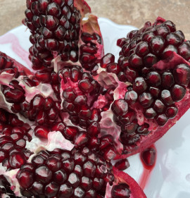 Punica granatum `Quirin Guloysha (Qirin Gulyosha)`